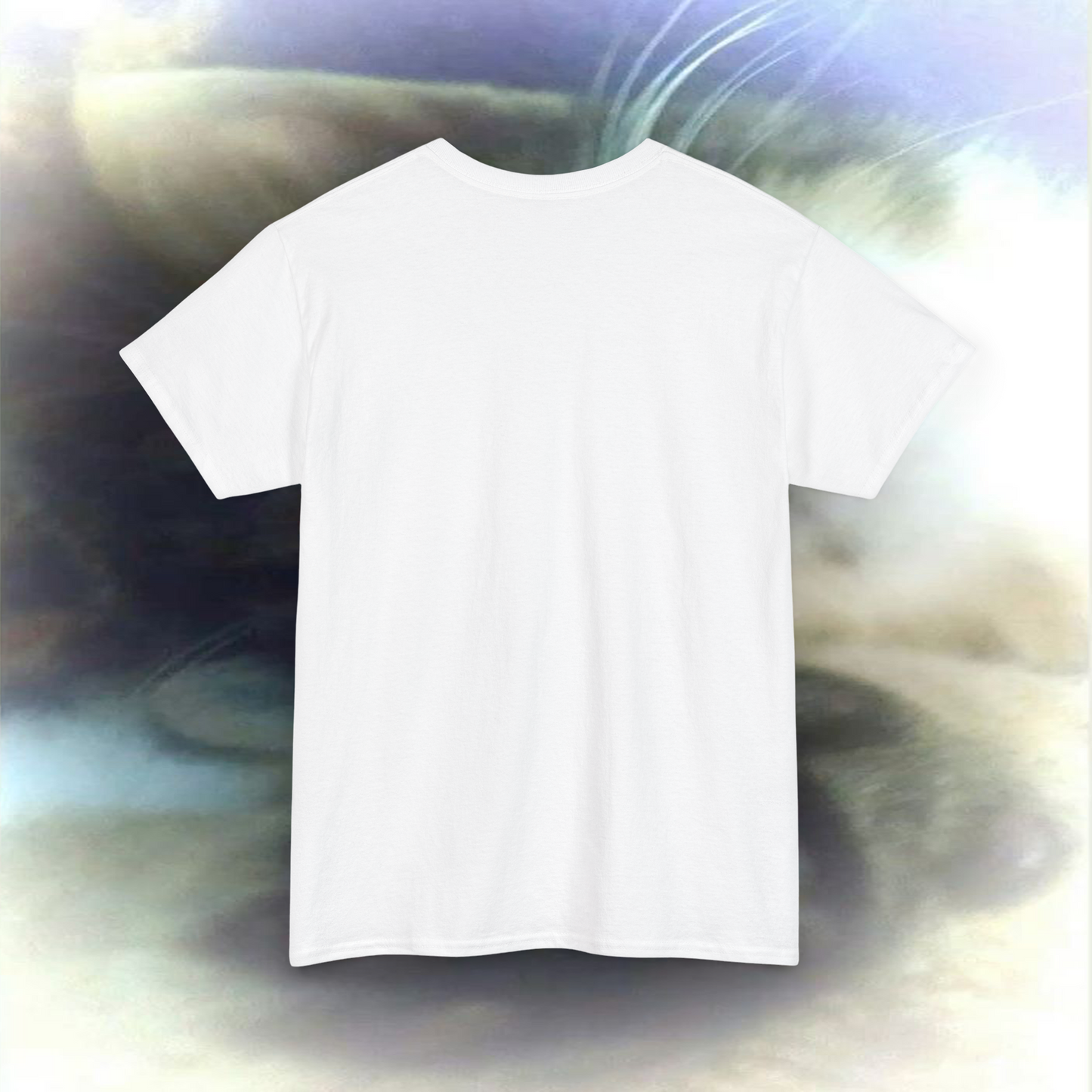 ‘how can I blame the wind for the mess it mad…’ T-shirt