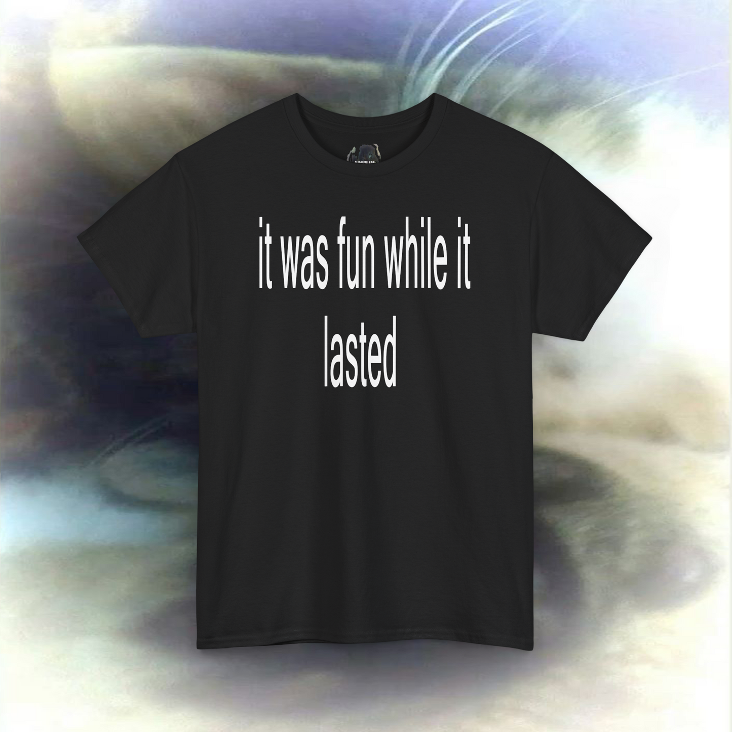 'it was fun while it lasted' T-shirt